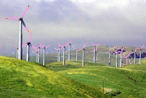 brighter blades for wind turbines killing birds