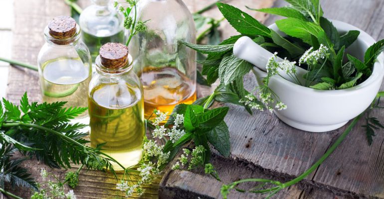 herbal medicine alternative medicine