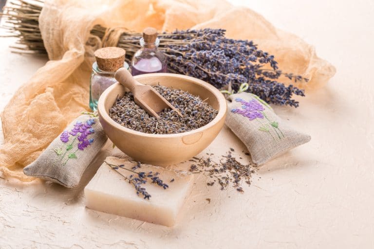 Alternative Medicine Careers What to Expect