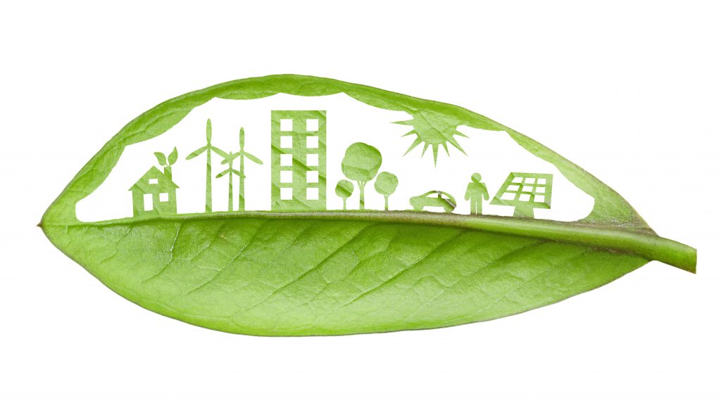 Renewable Energy Facts