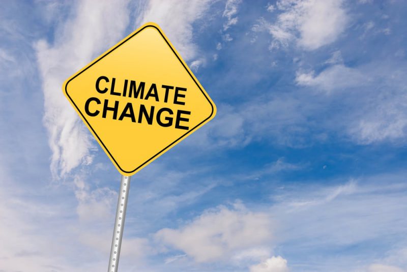What Does an Environmental Consultant Do?