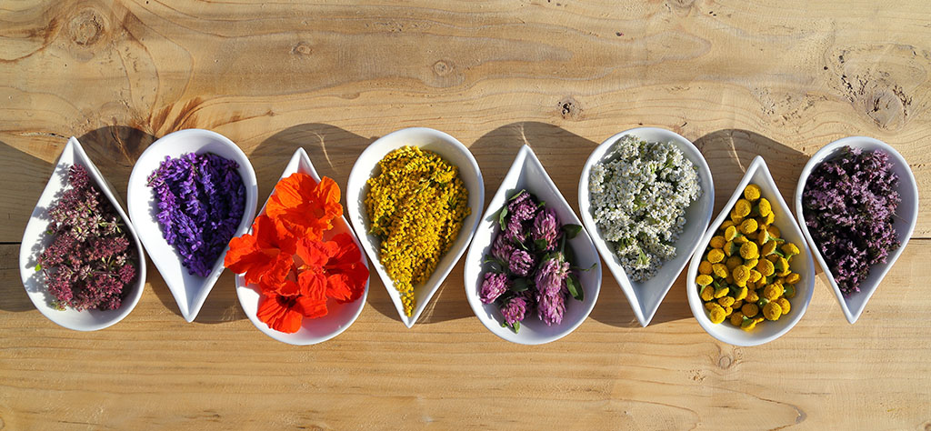 little bowls of herbs