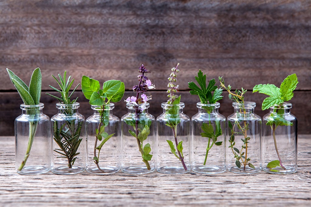 small glass jars of herbs