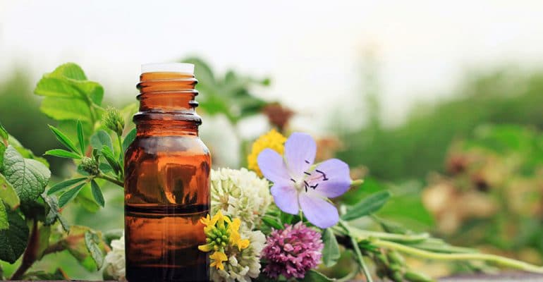 5 Tips for Starting a Career with a Holistic Medicine Degree featured