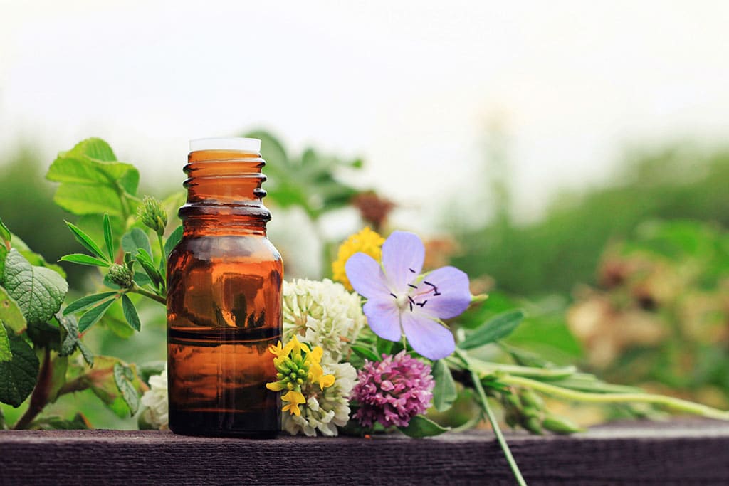 5 Tips for Starting a Career with a Holistic Medicine Degree featured