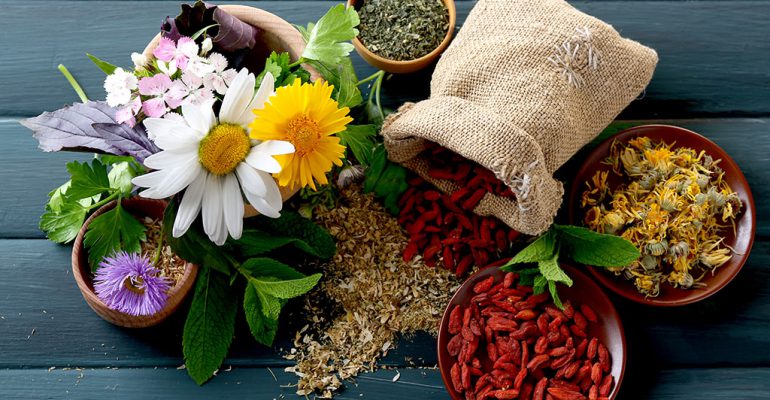 Flowers, plants, herbs, and fruits in bowls on a wooden table alternative medicine schools