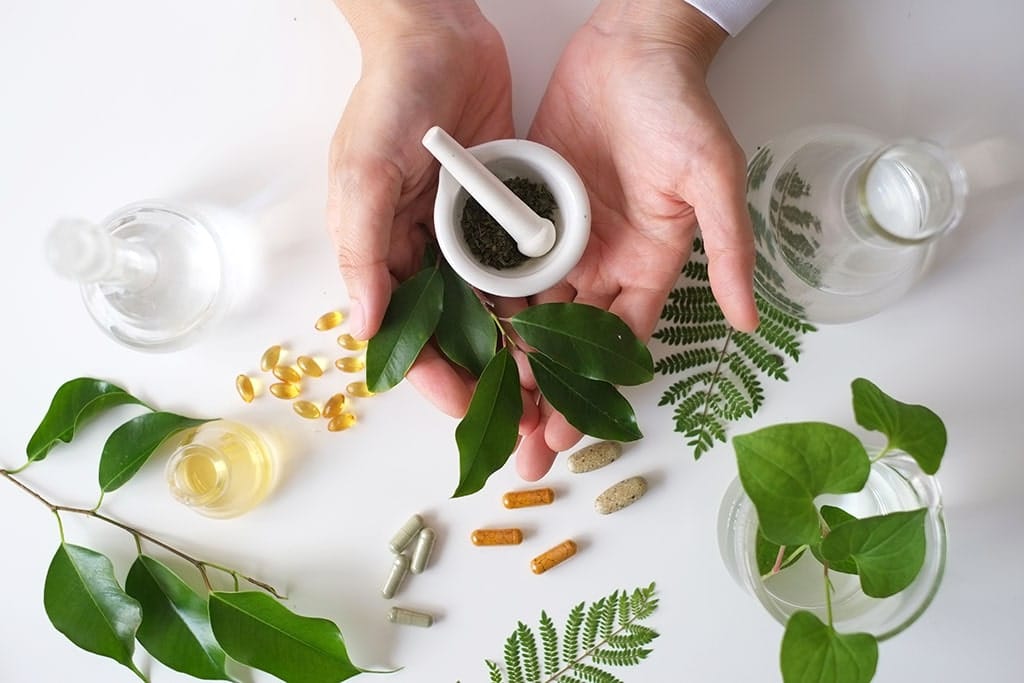 Different herbs on a table with herbs in the palms of a hand