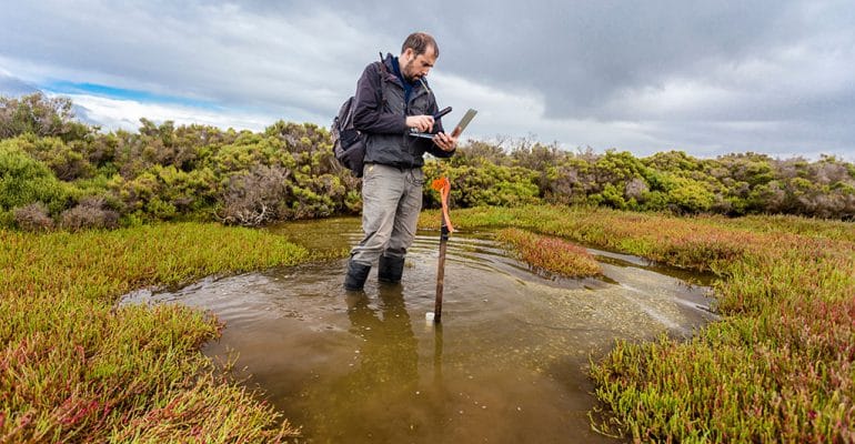 A male marine resource manager collects data while standing in a wetland area.