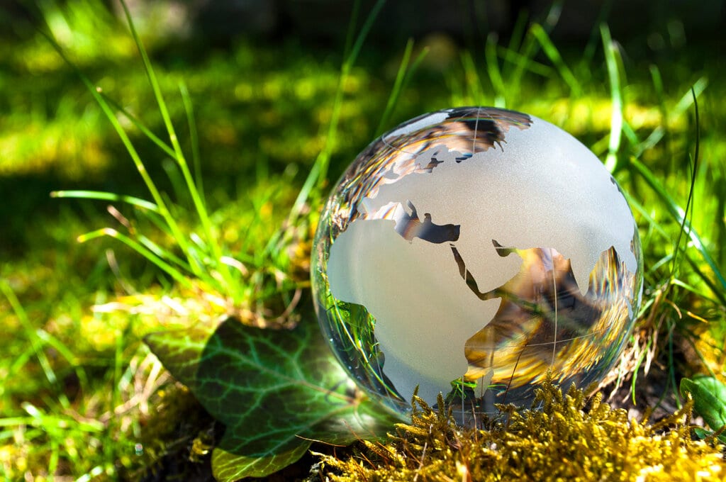 Climate change concept with glass globe set among green backdrop