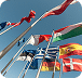 Icon for International Business