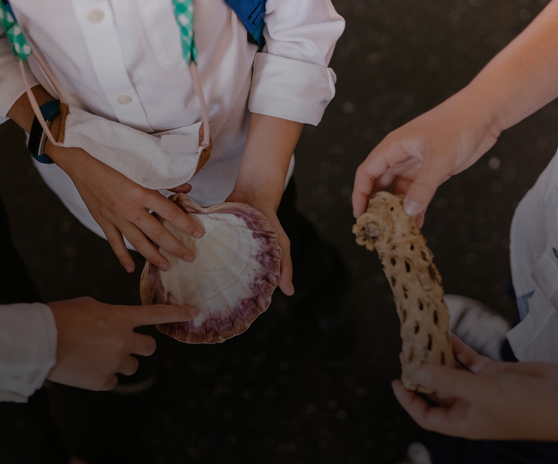 MarineResources_ProgramBanner-2