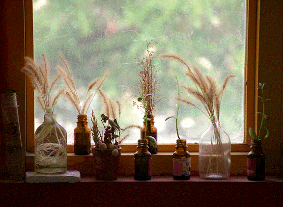 Exploring the Science and Applications of Clinical Aromatherapy