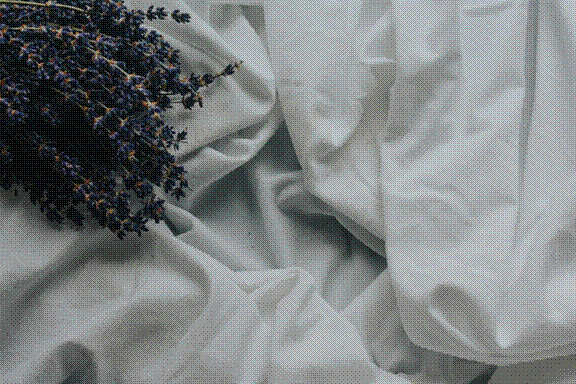 Dried lavender flowers resting on soft white fabric, representing the most studied aromatherapy oil