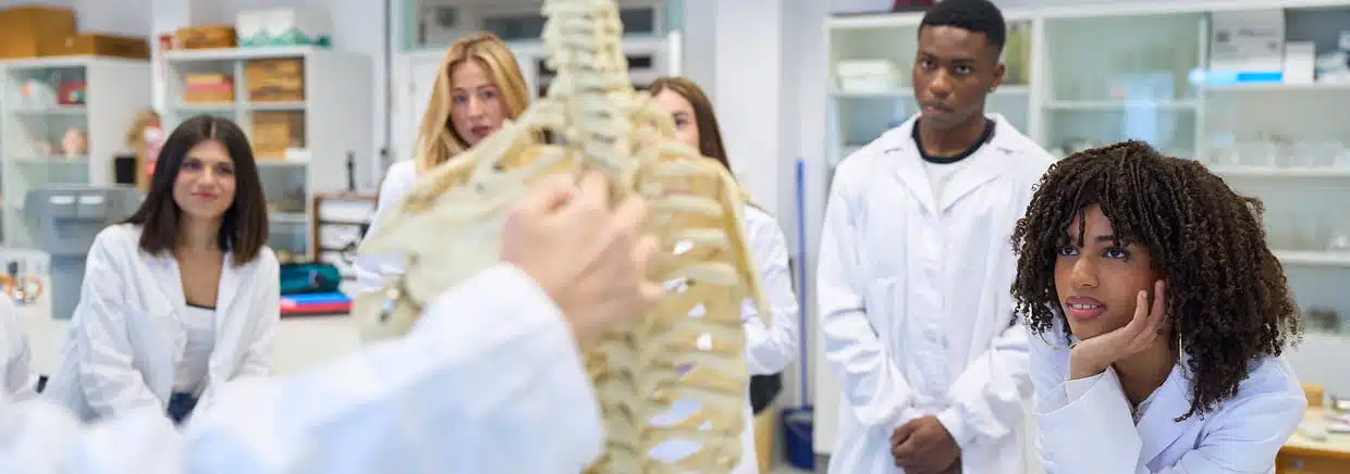 What Do You Study in a Complementary & Alternative Medicine Degree Program?